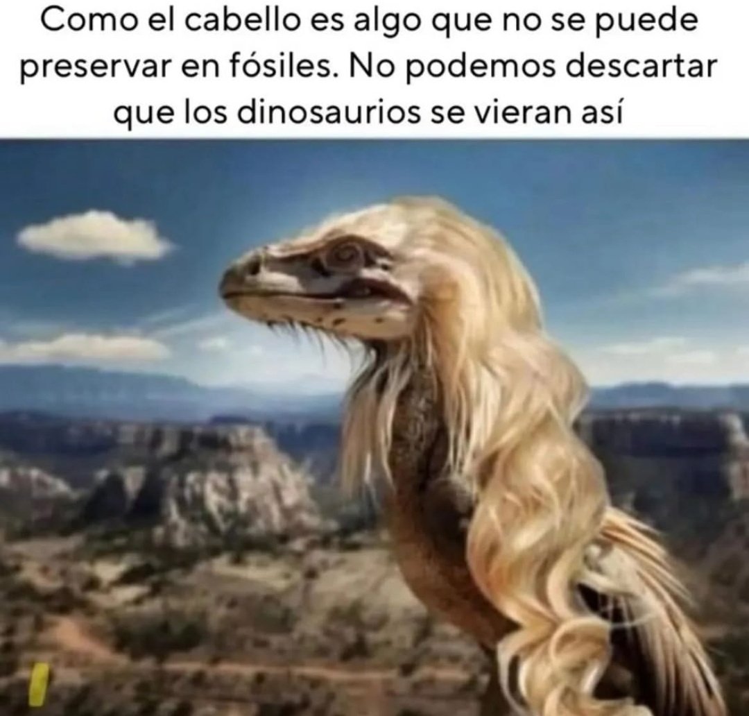 Ana_LaPatata (@ymuchosmemes) on Twitter photo 