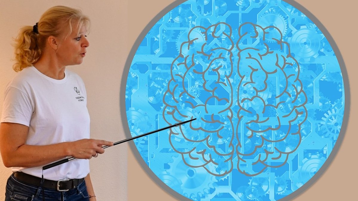 Houd je brein in topvorm CASTRICUM - Wil je meer weten over de werking van het brein en jouw brein in topvorm houden? Kom dan naar de lezing met workshop Brein in topvorm! verzorgt door Cindy Schmidt van Breinfit. omroepcastricum.nl/nieuws/artikel…