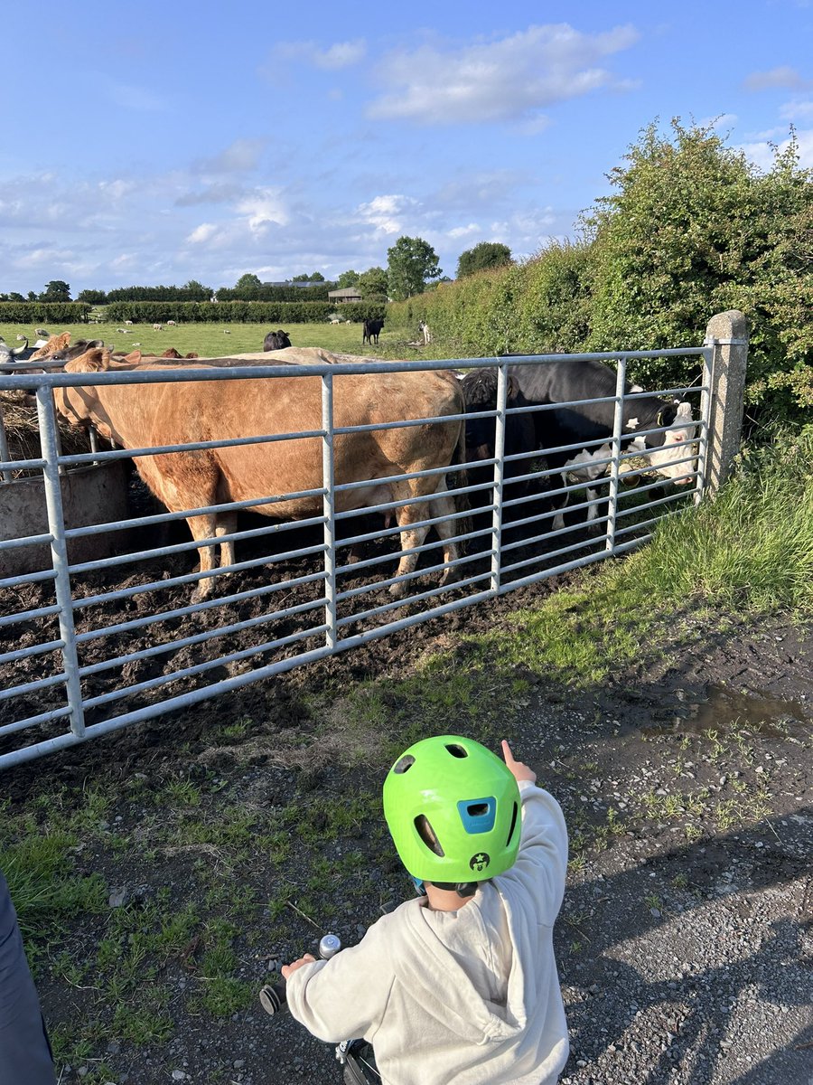 rirvine91's tweet photo. No better way to end the day than a quick spin to see the ‘moo moo’s’ before bedtime 🐮 🐄 https://t.co/2ZMVYyLzey