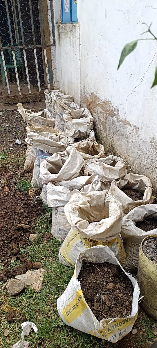 TBChampions_ke's tweet photo. Commending our board member @erickokioma and his CBO @MandelaTb for championing food security! Their urban farming implementation is vital, as nutrition directly contributes to better health outcomes in our communities. A true model for the health sector! #FoodSecurity https://t.co/uUUxygjGMs