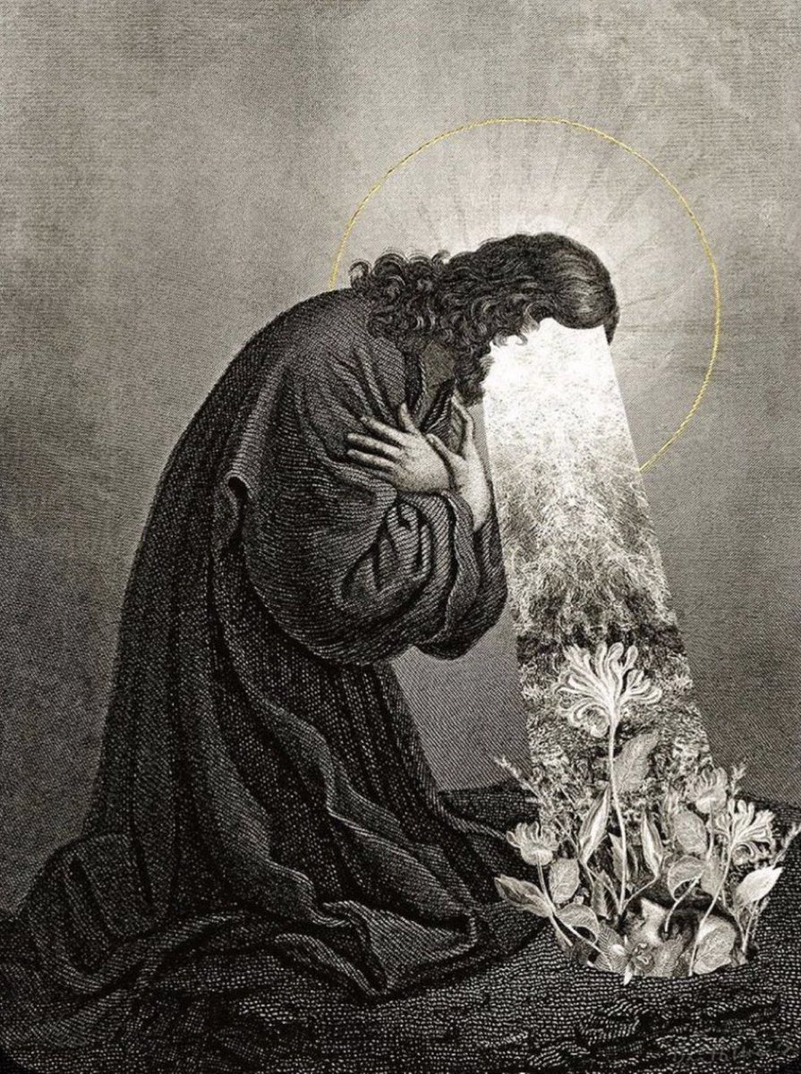 gm🌞

mastery awaits🪽