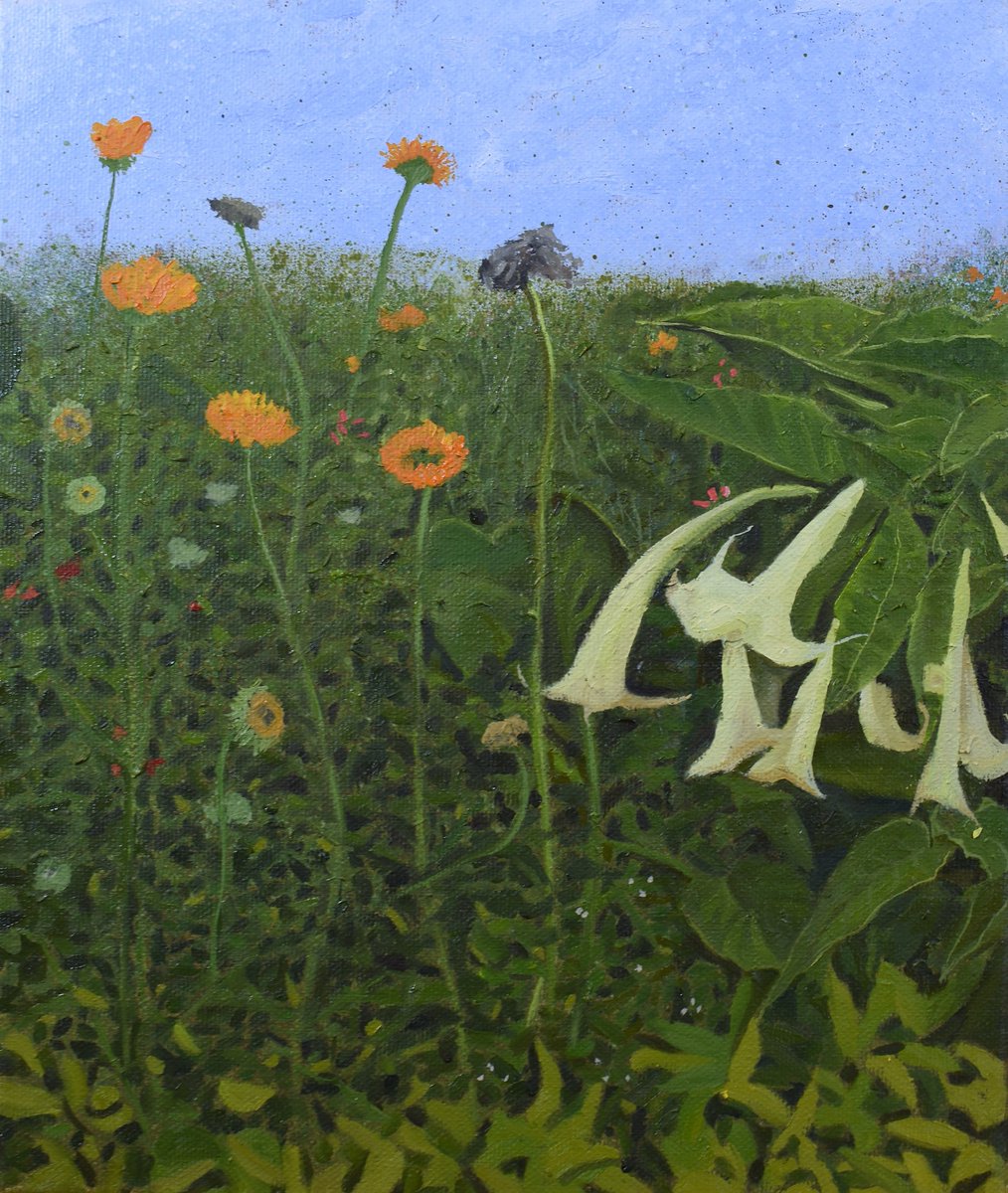 HunAdamoglu's tweet photo. Delighted to be exhibiting in the Russell Gallery’s Summer Exhibition with three paintings drawn from the Jardin des Plantes in Paris.

Parisian Flower Bed I,II,III
30 x25 cm
Oil on Canvas https://t.co/hLOO2M1BOL