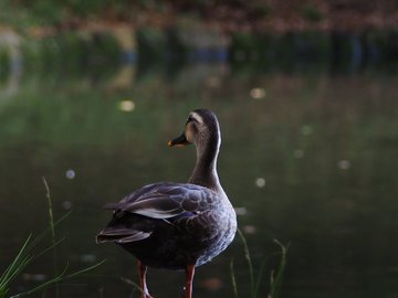 nxwmbbba's tweet image. 지금 당신이 무엇에 직면하고 있든, 당신이 이 지점에 도달했으니, 인내하고 자신에게 긍정적인 말을 하세요. 당신은 생각보다 강합니다.