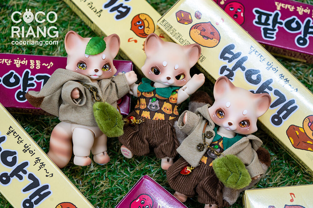 お知らせ】COCORIANGから、 期間限定ドール『Pocha』が登場