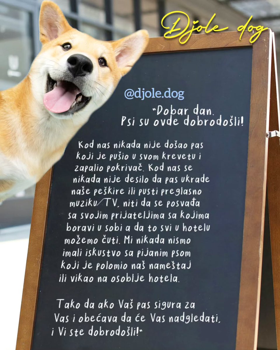 Na ulazu u jedan hotel piše ovo sjajno obaveštenje.👆 Nadamo se da će ga pročitati menadžeri/vlansici onih objekata koji još uvek nisu pet friendly i zamisliti se - ko u stvari pravi problem u objektu, ljudi ili
psi? Ko se napije, svađa se, viče, polomi ili ukrade nešto?