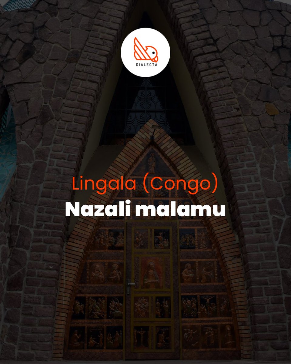 mydialecta's tweet image. How do you say ‘I am fine’ in YOUR dialect?

From Lagos to Lusaka, Nairobi to Nouakchott, African languages are full of beauty and rhythm.

🌍 So… how do you say it?
Drop your dialect in the comments 👇
Let’s learn from one another!

#MyDialecta #languagelearning #languageaddict…