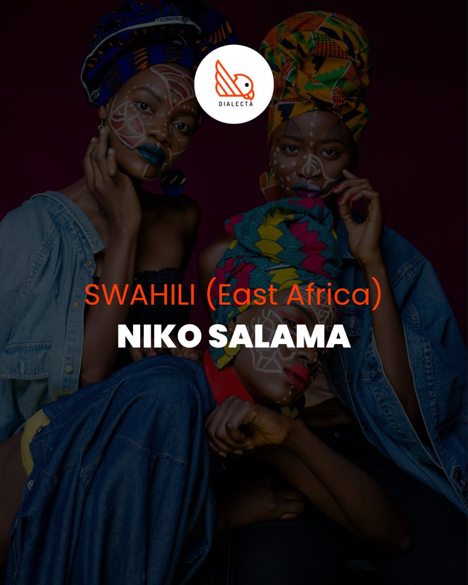 mydialecta's tweet image. How do you say ‘I am fine’ in YOUR dialect?

From Lagos to Lusaka, Nairobi to Nouakchott, African languages are full of beauty and rhythm.

🌍 So… how do you say it?
Drop your dialect in the comments 👇
Let’s learn from one another!

#MyDialecta #languagelearning #languageaddict…
