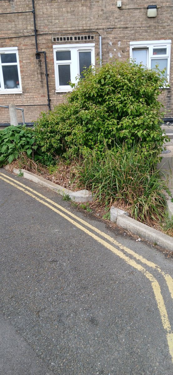 Cutting sewer overflows with green infrastructure will look a lot like Queen Caroline Estate in West London.
Lots of spaces to slow rain so it doesn't overwhelm sewers. 
It helps cut surface water flood risk in Hammersmith &amp; urban heating. 
It creates better living spaces too.
1