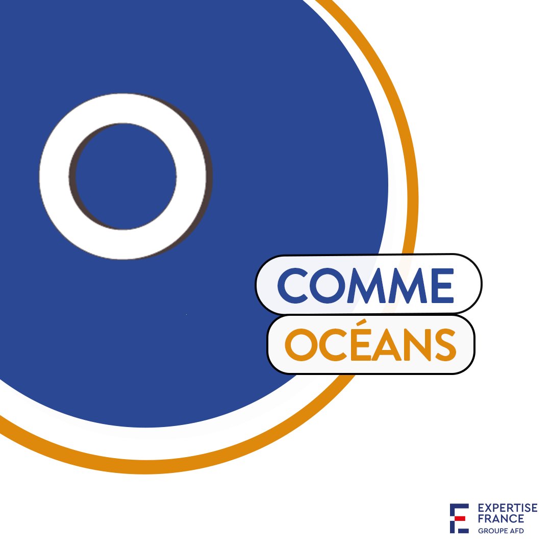 expertisefrance's tweet photo. 🌍🌊 À l’occasion de la Journée Mondiale des Océans, présentation de l’action d’Expertise France en la matière. 
▶ Expertise France met en œuvre de nombreux projets dans le domaine de l’économie bleue, voici quelques exemples ⤵ https://t.co/mUFmjj7XUI
