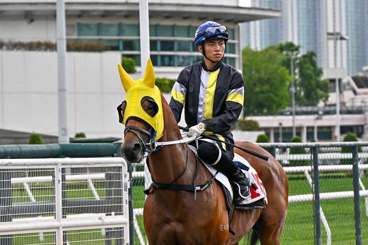 HKJC Racing (@hkjc_racing) on Twitter photo Racing To Win: Hear from <a href="/elliswong05/">ellis wong</a> as he reflects on an impressive run of form, plus there is a preview of Sunday’s meeting at Sha Tin, which commences at 4pm (HKT). #SummerSeries #HKracing
📺 tinyurl.com/49jpxpkj Racing To Win: Hear from <a href="/elliswong05/">ellis wong</a> as he reflects on an impressive run of form, plus there is a preview of Sunday’s meeting at Sha Tin, which commences at 4pm (HKT). #SummerSeries #HKracing
📺 tinyurl.com/49jpxpkj