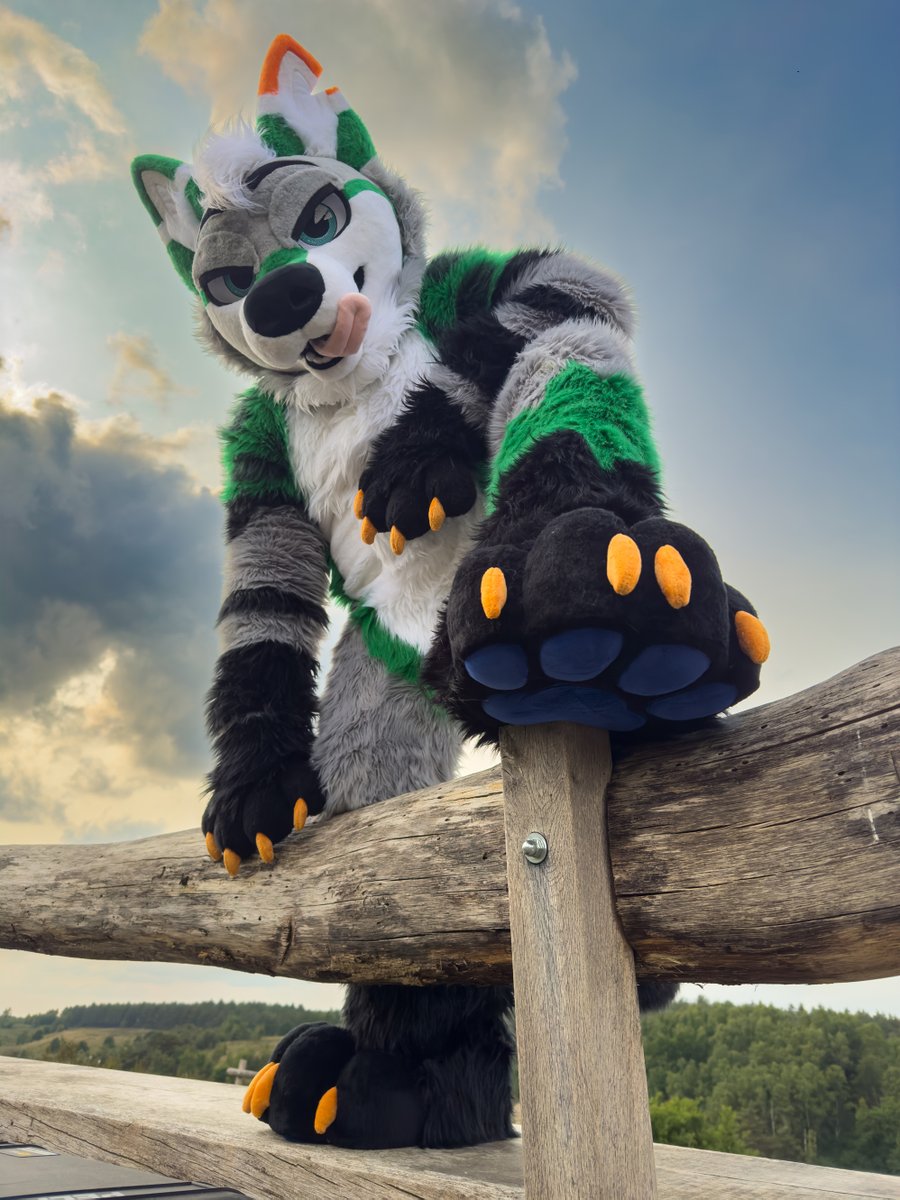 You know who I am, soft on the surface, fierce underneath. These paws don’t play - ready to be served by you, get under them and show me what you've got. 🔥🐶🐾

📷 <a href="/Fideel/">Fideel</a>

#fursuitfriday #fursuit #coyote #furry