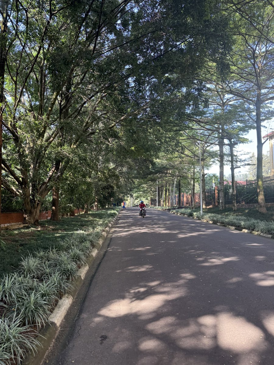 Kevin Hebert tweet media