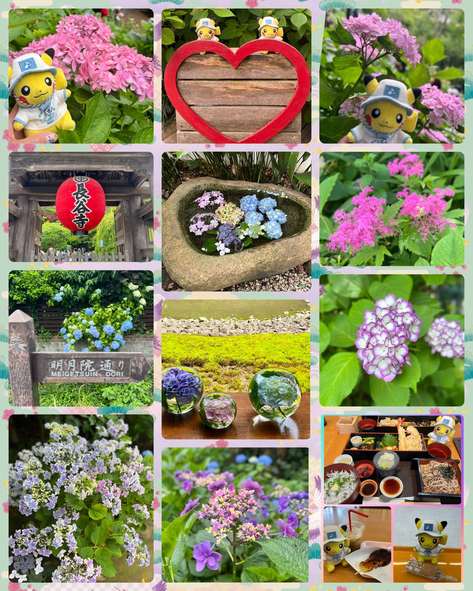 💠🍃今日は鎌倉へ
行ってきました👫𓂃𓈒𓏸︎︎︎︎⁡ ͛.*🍃
紫陽花の名所で知られている長谷寺や明月院などの紫陽花が見頃を迎えていてとてもきれいでした✨😄♬*.+゜