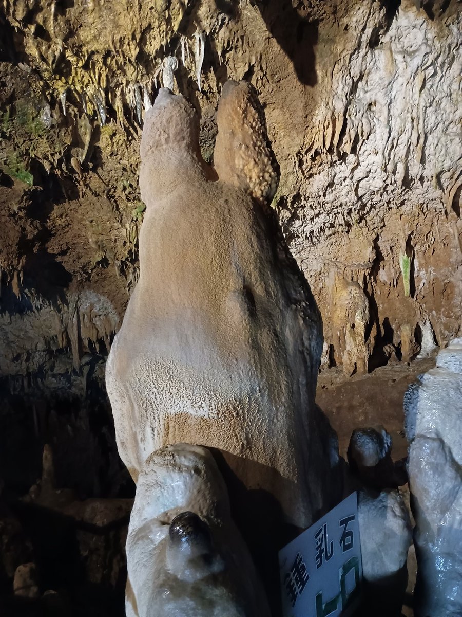 鍾乳洞界のトトロ