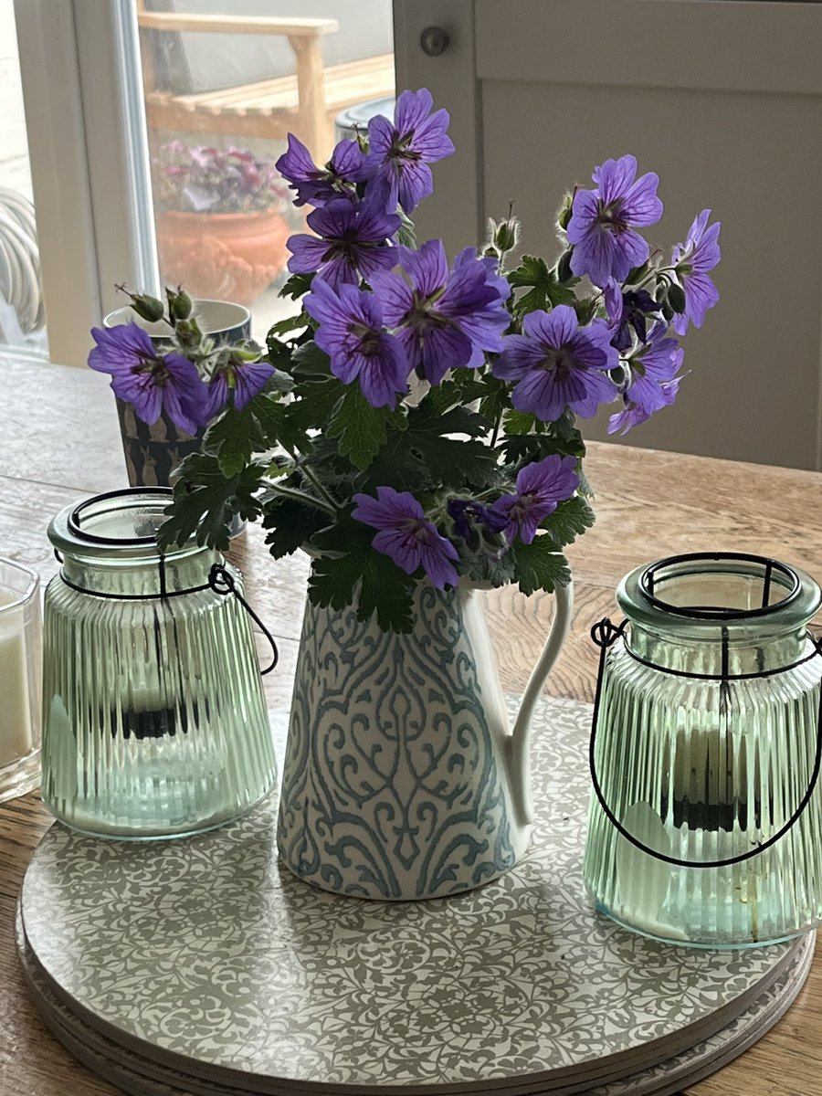 Geranium Magnificum looking splendid at the moment. Originally just one humble clump from my mum’s garden, it’s been dug up and divided over and over again. So abundant there’s enough to fill a jug too! A gift that keeps on giving!