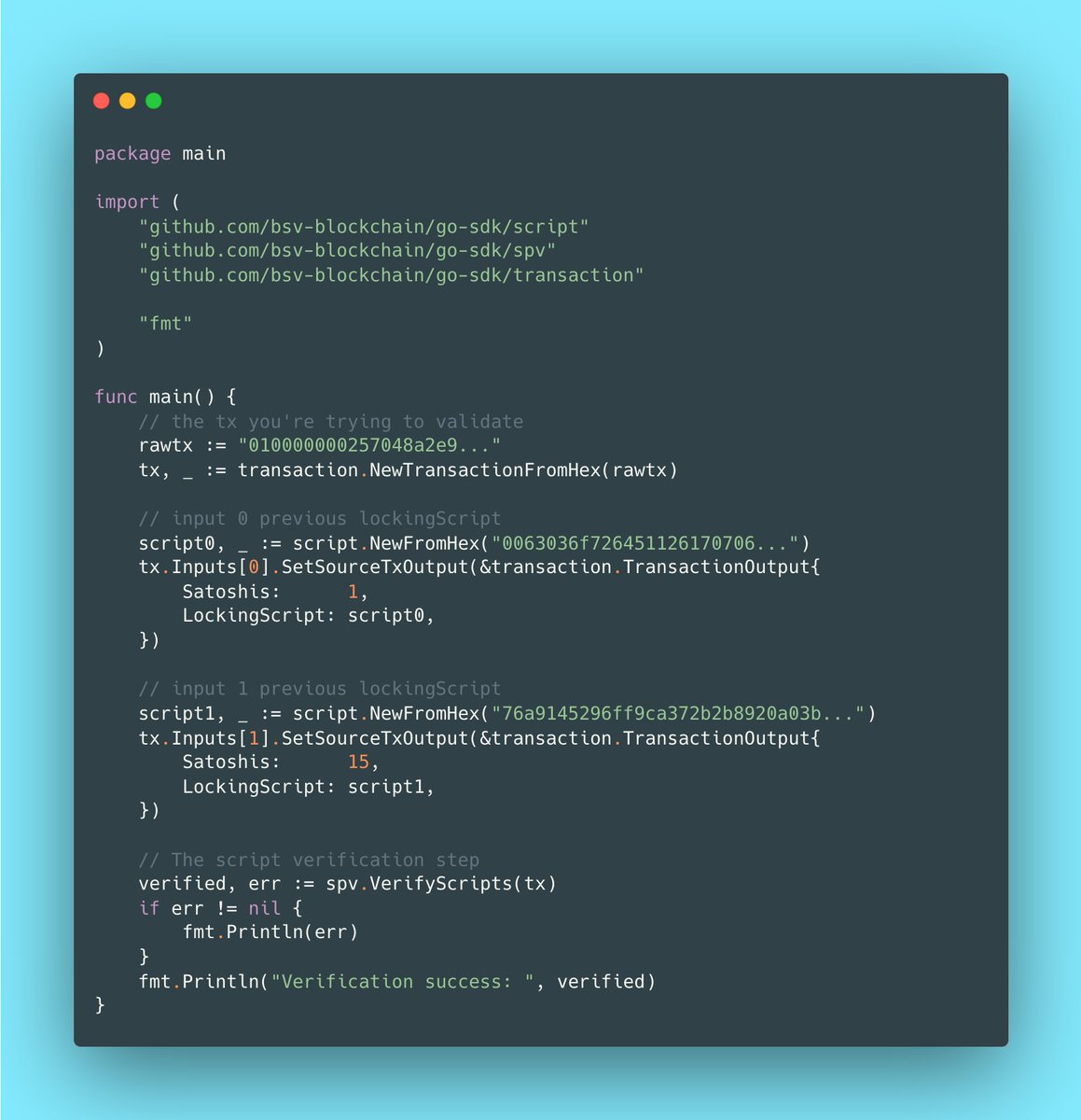 Script validation on a transaction using the BSV go-sdk built in SPV support:
go.dev/play/p/t-3HT2E…