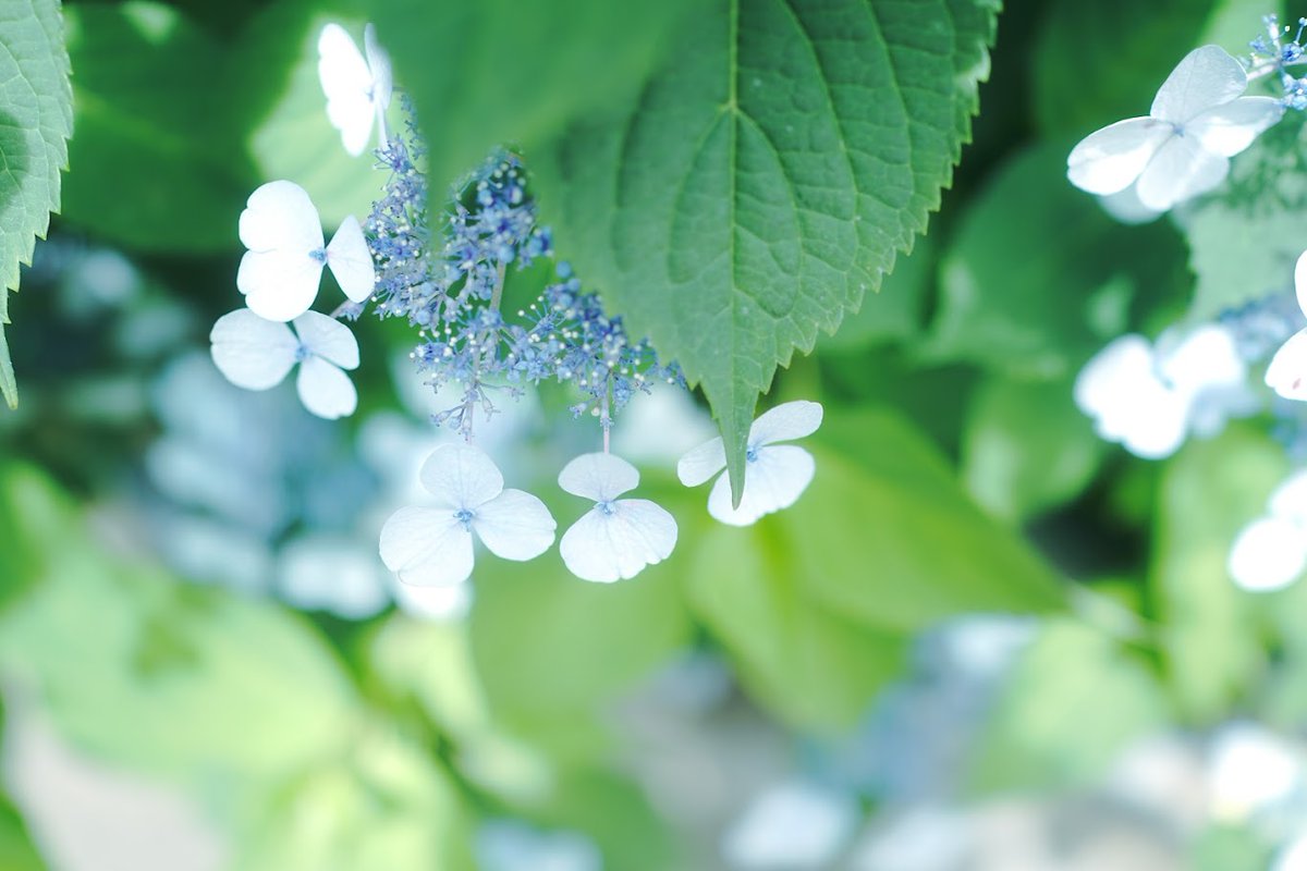 今日まで無事に生きました。それだけで、もう十分。