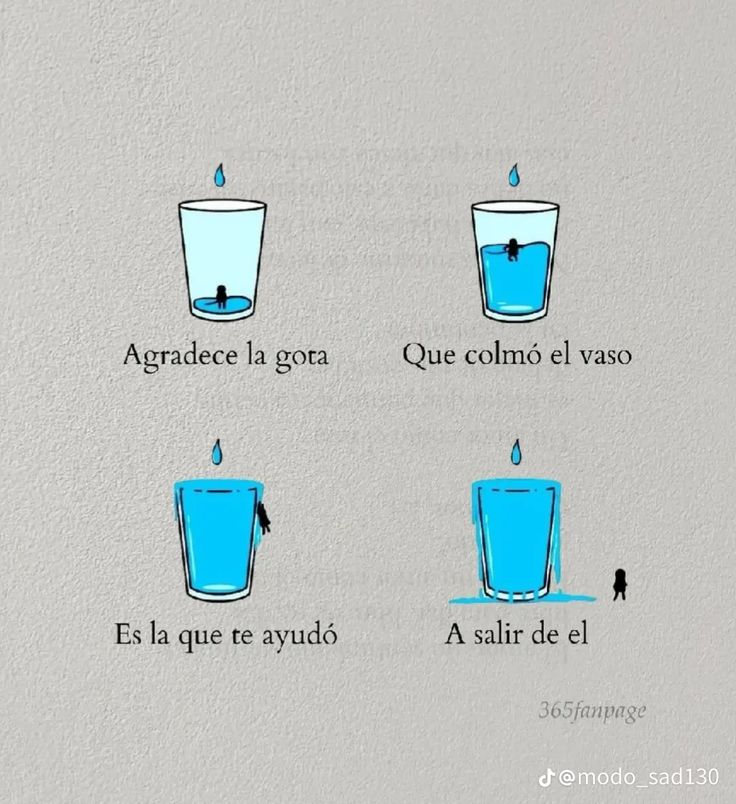 LealtadSabia's tweet image. 