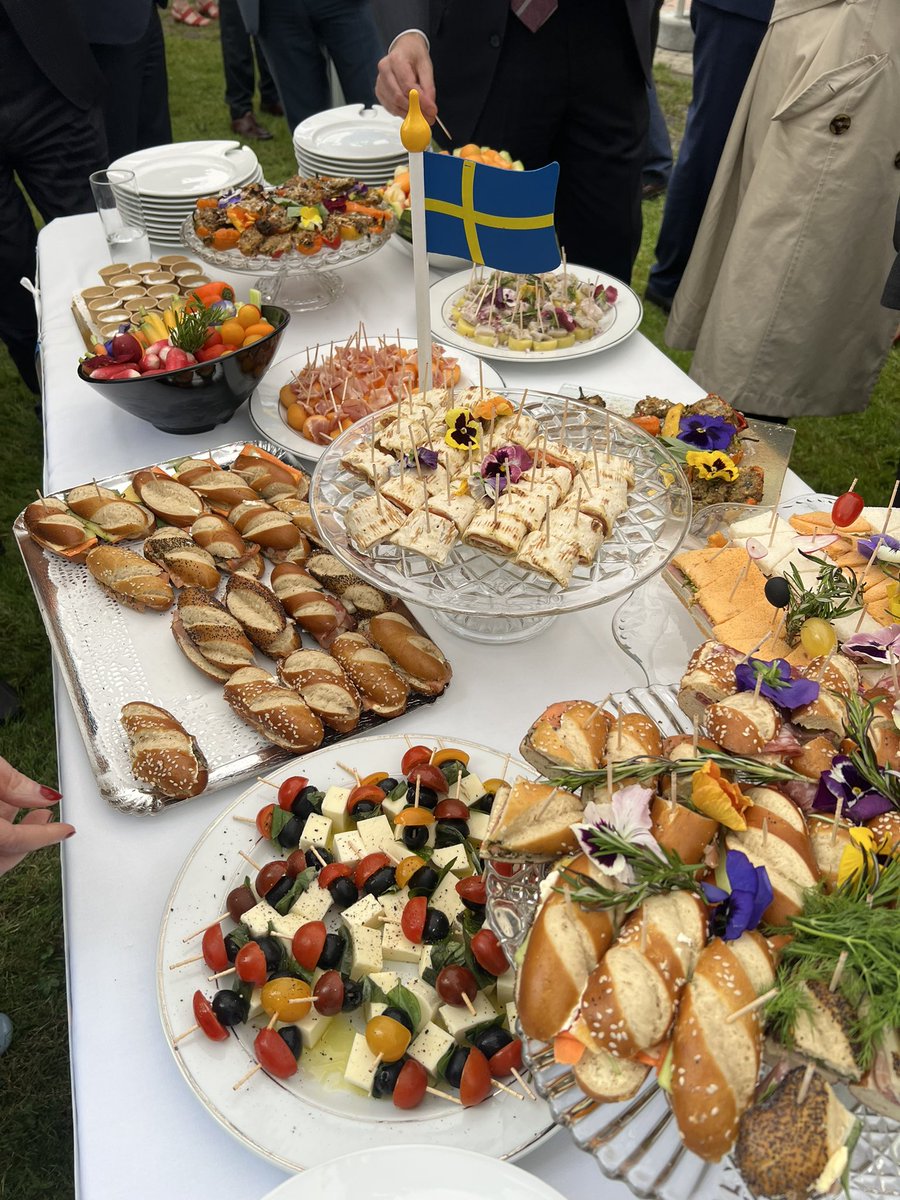 Happy National Day from Strasbourg to our fellow Swedes and friends ! 🇸🇪🌞🎉