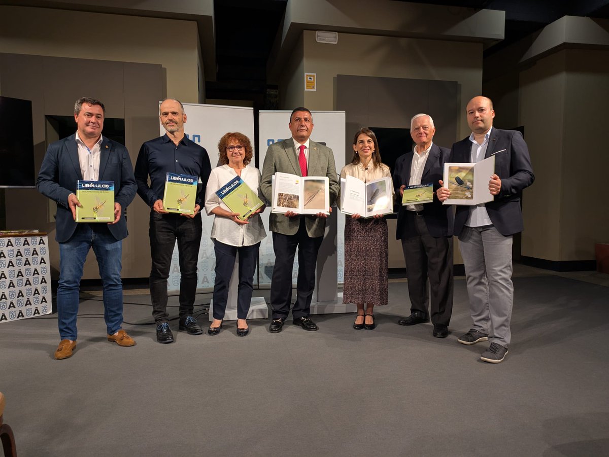 PRONISA Plena Inclusión Ávila tweet media