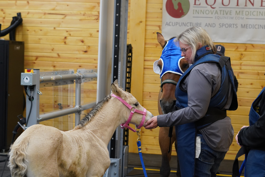 Equina_AstoCT's tweet photo. When mom’s getting a CT scan and you’re just a baby… you strike a pose and steal the spotlight. 📸🐴💕 #AQHA #Reining #EquineCT #AstoCT #EquineInnovativeMedicine https://t.co/vDY4Y2pudW