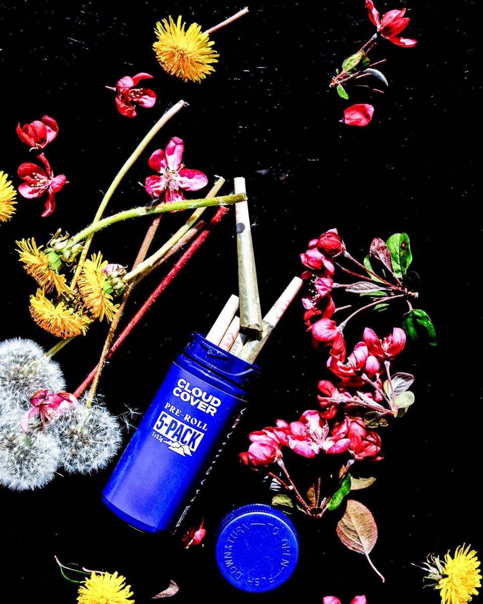 cloudcoverusa's tweet image. Spring has sprung, and so have Cloud Cover Pre-Roll 5 packs 🌸 Now is as good a time as any to stop, smell the flowers, and light up 😮💨 Available now at @highprofileusa in Missouri
Shop 🛒: bit.ly/4dKzvcl
#cloudcover #cannabis #marijuana #weed #missouri #prerolls