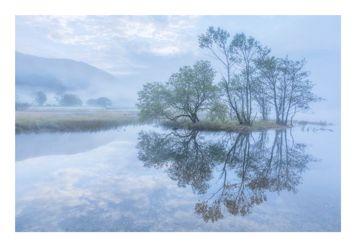 Timeline cleanse for y’all 🫶🏻