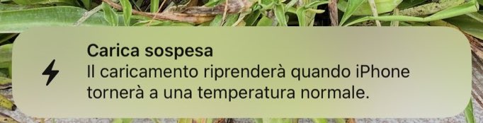 here we go again ❤️

che bello il caldo