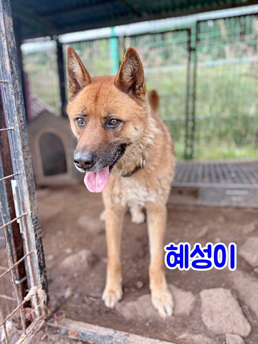 <신축 일기>

- 건축사 사무실과 계약했습니다. 설계와 감리입니다. 이 비용만해도 어마어마하네요.

- 측량도 신청했습니다. 비용이 플러스되었습니다. 6월 중순 쯤 측량을 나올 것 같아요.

- 후원회원은 2분 더 늘어 130분이 되셨습니다.

후원 : 농협 355-0078-4849-93 사단법인 제제프렌즈