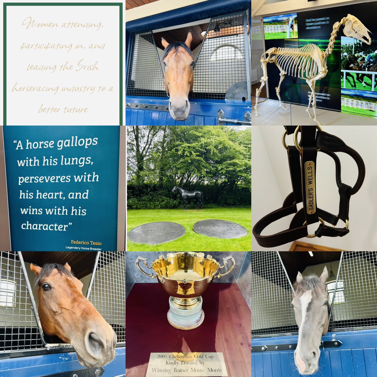 Fantastic day. Thank you to <a href="/WINforRacing/">Women’s Irish Network for Racing</a> <a href="/HorseCountryIRE/">Horse Country</a> <a href="/coolmorestud/">Coolmore</a>