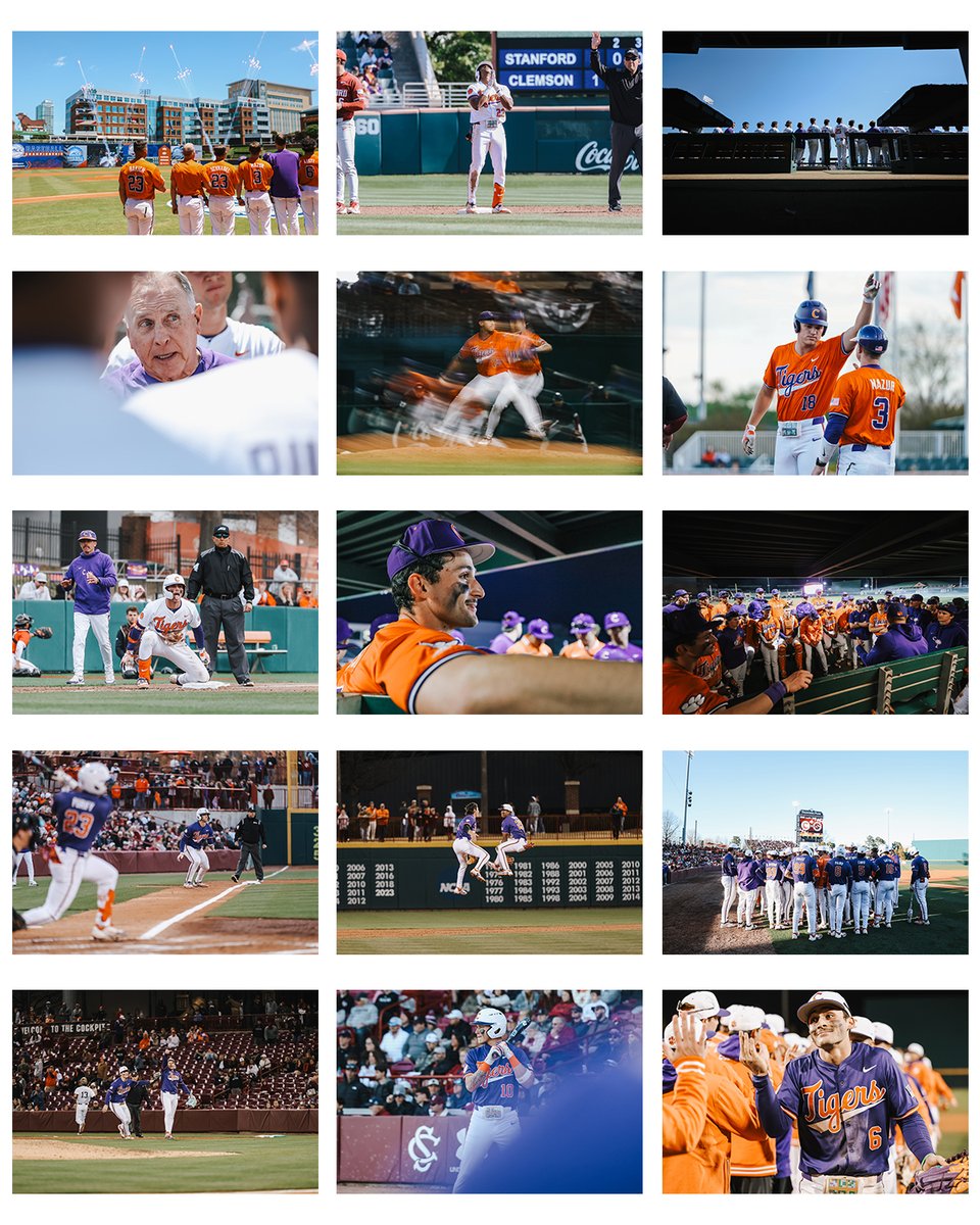 Peter McLean tweet media