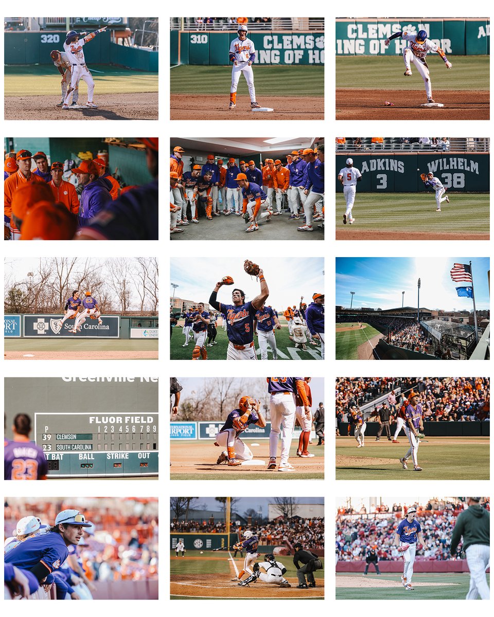 Peter McLean tweet media