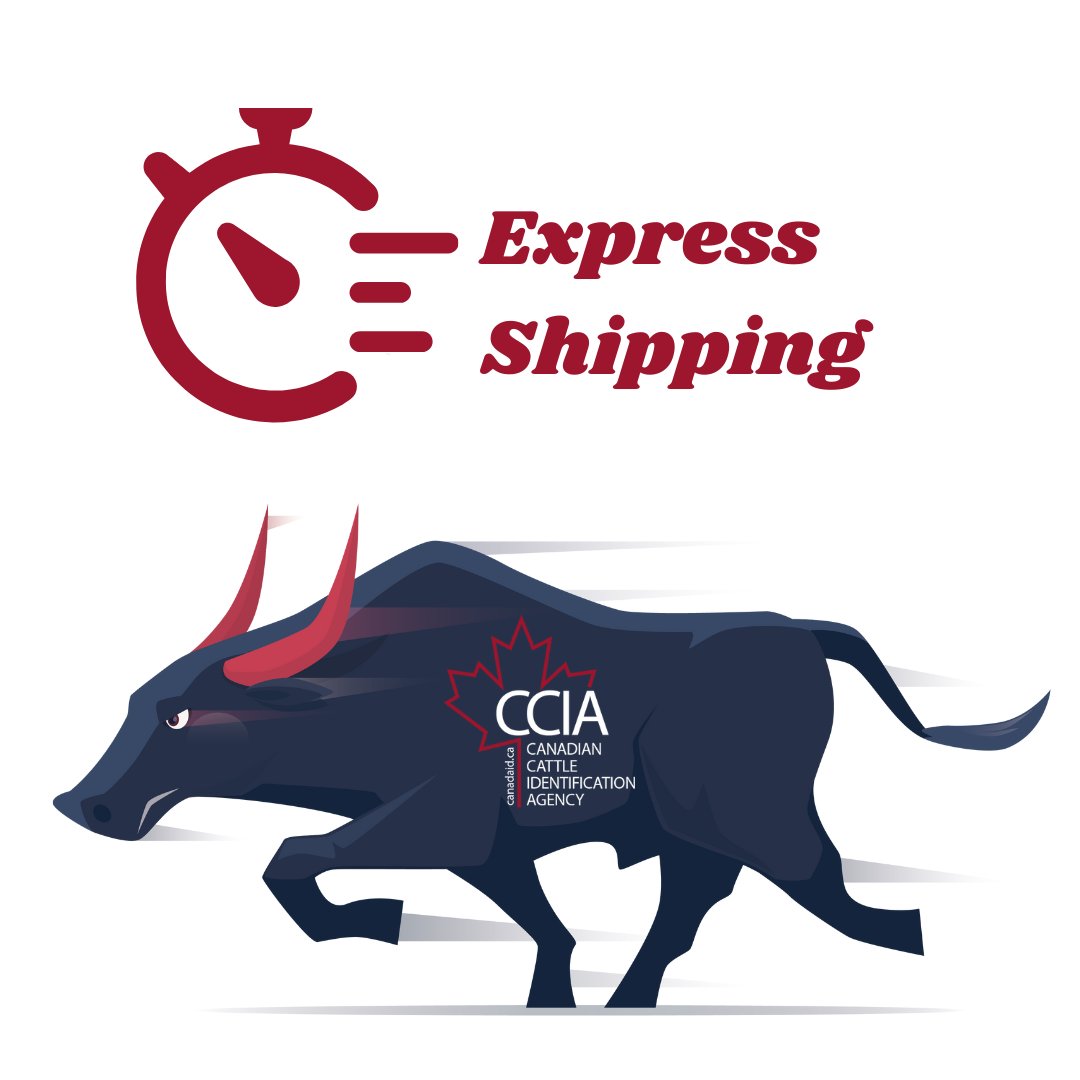 Need indicators (tags) fast? CCIA is making it easier to get what you need when time is tight. CCIA’s webstore now features an express shipping option to help reduce wait times for urgent orders.
Visit tags.canadaid.ca to try the new express shipping option.