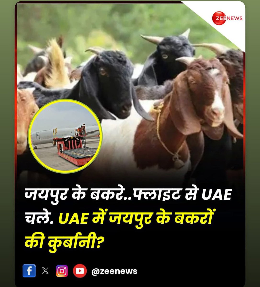 Shame on us 💔
#boycottqurbani 
#boycotthalal
#boycottsacrifice