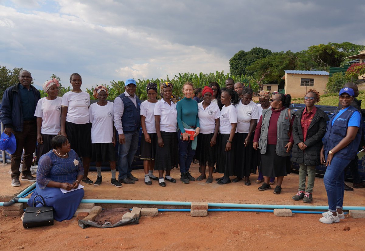 Milton Tinashe Makumbe (@milton_makumbe) on Twitter photo <a href="/DeptFisheriesa1/">Fisheries and Aquaculture Resources Dept, Zimbabwe</a> & <a href="/faosfsafrica/">FAO Subregional Office for Southern Africa</a> visit to a women-led fingerling distribution hub in Manicaland Province under the #FISH4ACP project funded by <a href="/EU_Commission/">European Commission</a> & <a href="/BMZ_Bund/">Bundesentwicklungsministerium</a>. Providing quality fingerlings to local farmers! #Empoweringwomen #SustainableAquaculture #Zimbabwe <a href="/DeptFisheriesa1/">Fisheries and Aquaculture Resources Dept, Zimbabwe</a> & <a href="/faosfsafrica/">FAO Subregional Office for Southern Africa</a> visit to a women-led fingerling distribution hub in Manicaland Province under the #FISH4ACP project funded by <a href="/EU_Commission/">European Commission</a> & <a href="/BMZ_Bund/">Bundesentwicklungsministerium</a>. Providing quality fingerlings to local farmers! #Empoweringwomen #SustainableAquaculture #Zimbabwe