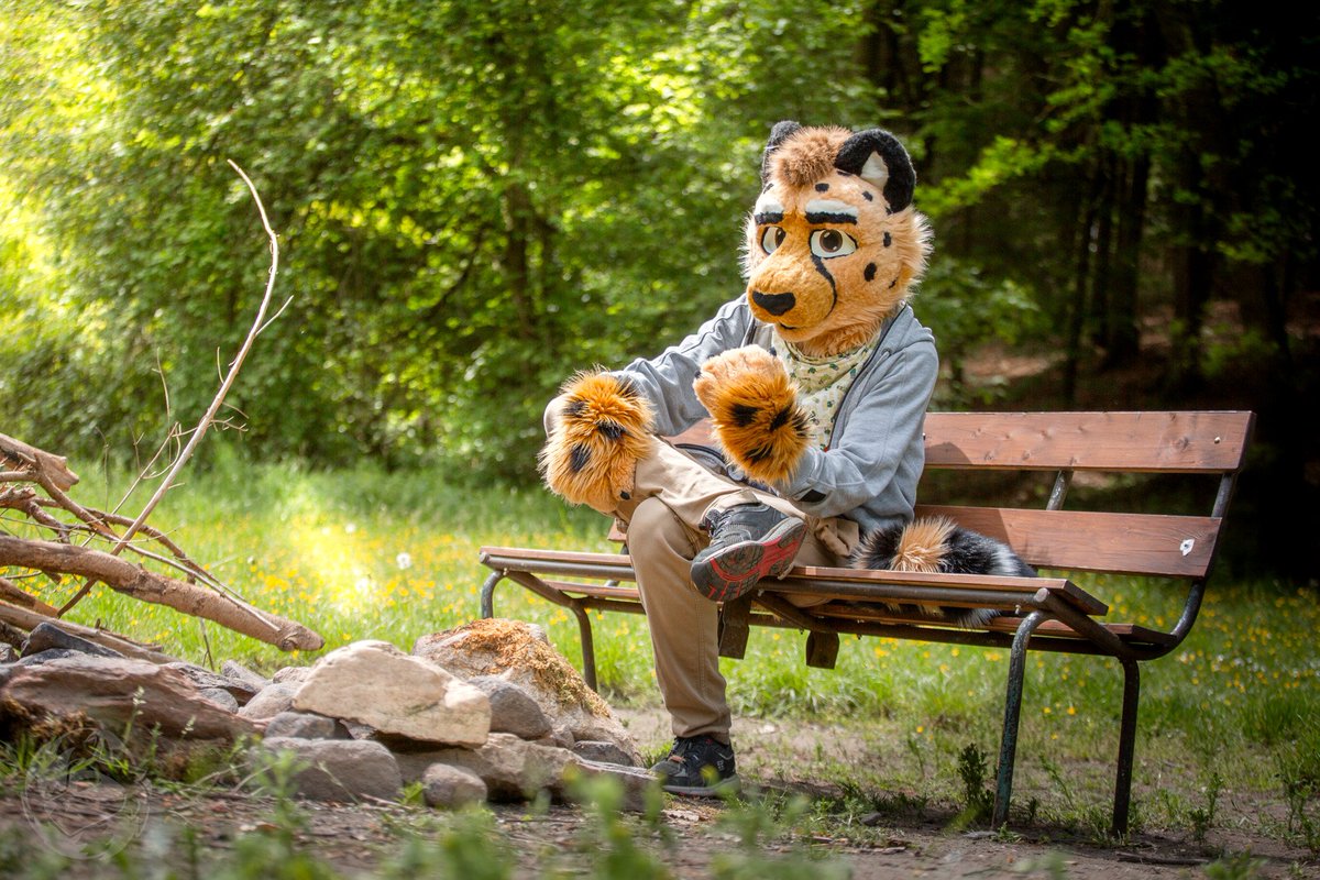 Oh! I can tell you have some new stories tonight! 

Happy #FursuitFriday :3
Photo by <a href="/RandallFoxcoon/">Randall</a>