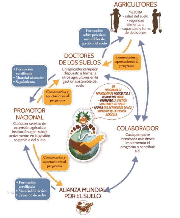 👩🏽‍🌾👨🏽‍🌾 México lidera el programa global de #DoctoresDeLosSuelo con 677 técnicas/os certificados en 28 estados.

Desde <a href="/FAO/">Food and Agriculture Organization</a> impulsamos saberes locales para regenerar suelos y fortalecer la producción sostenible desde las comunidades. 🌱🌎 #SuelosVivos