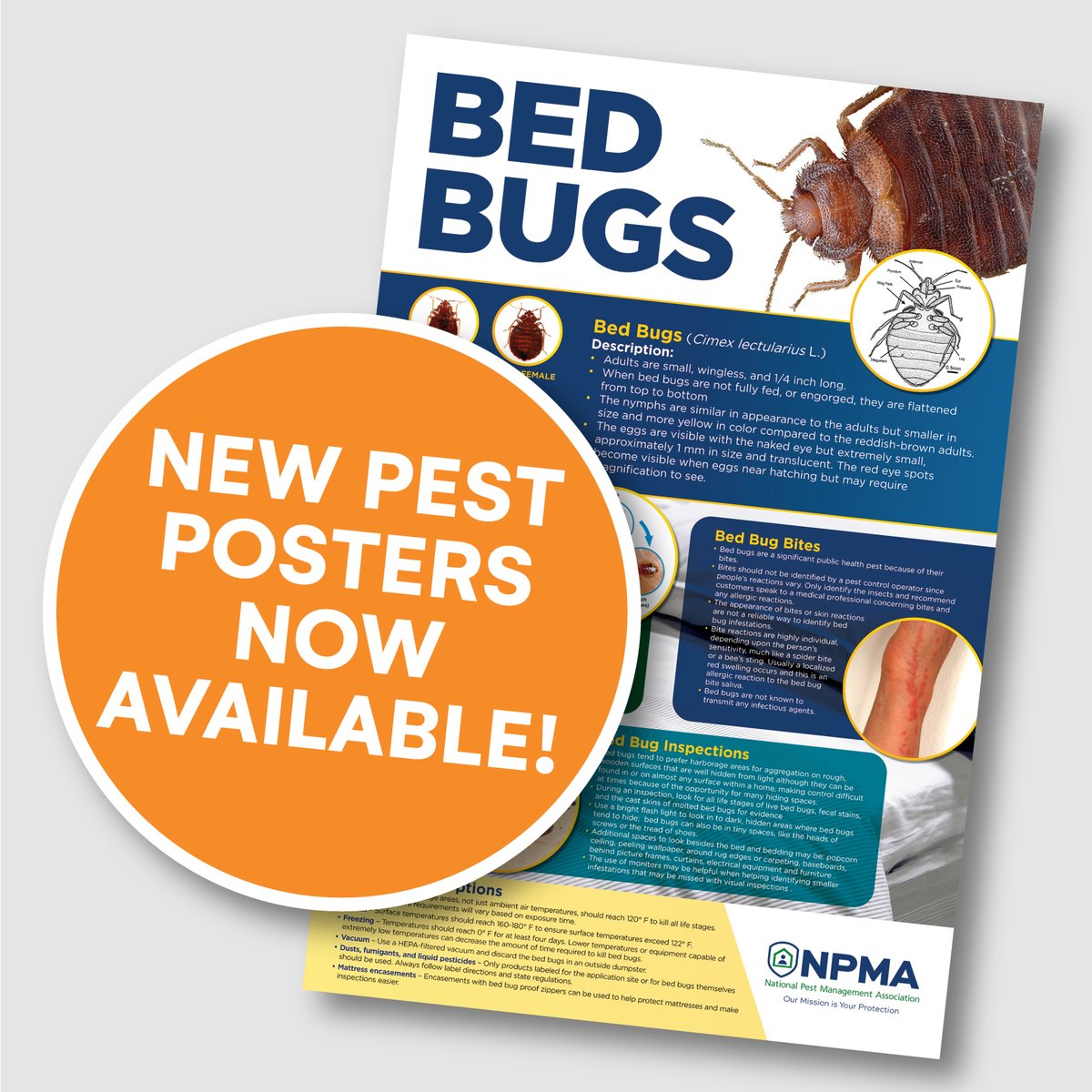Need a quick visual guide for #BedBugAwarenessWeek? NPMA's Bed Bug Poster (24 "x36") features high-res photos, ID tips &amp; control strategies. Perfect for office display &amp; quick reference! Get the poster at hubs.la/Q03qx9D30 #BedBugAwarenessWeek