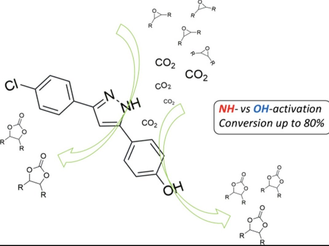 Very happy to have this paper finalmente published. Great work  of Prof Jorge Milani <a href="/UFJF_/">UFJF</a> 
Related to homogeneous catalysis. Check it out on pubs.acs.org/doi/epdf/10.10…