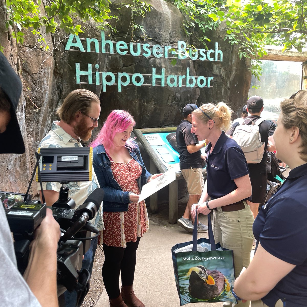 Hippo ever after 🦛

Al and Kevin Tyliszczak were supposed to get married at the Saint Louis Zoo's hippo habitat May 16, but mother nature had other plans. 

Don't miss the recent story from KMOV 4 following Kevin and Al's return to the Zoo. Watch at bit.ly/4jFI8X0.