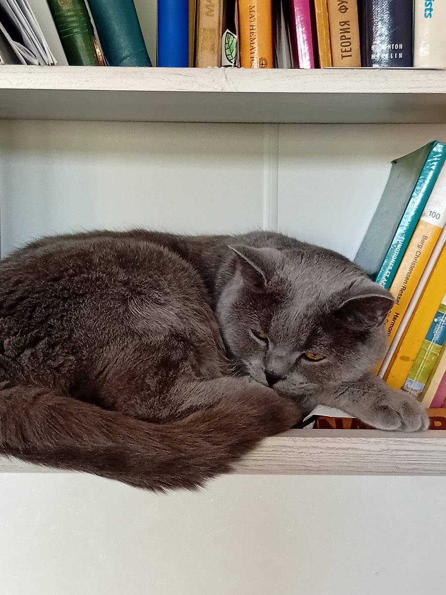 Катерина Галич tweet media