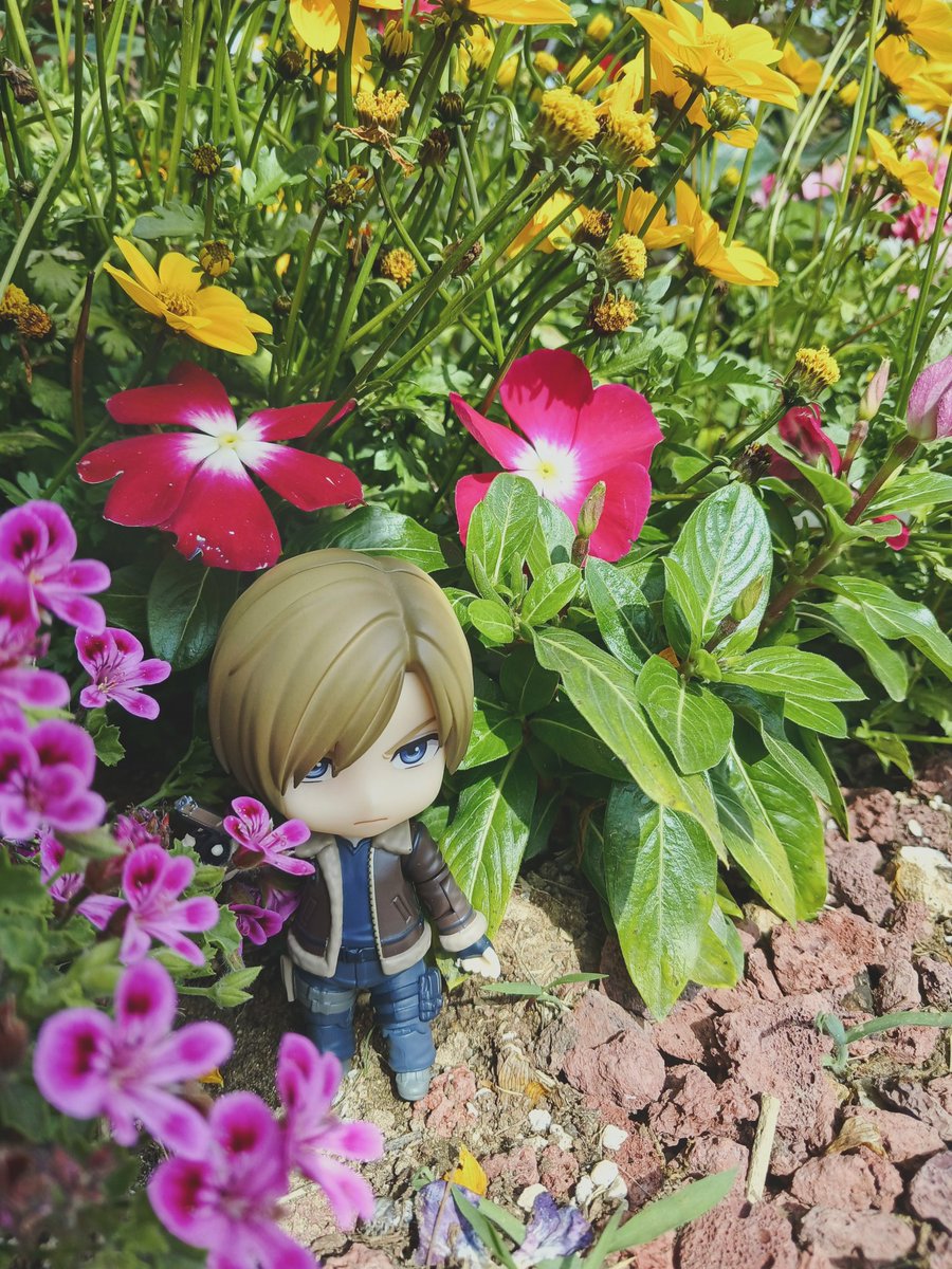 🌼🌸🌷😠🏵🌹🌺