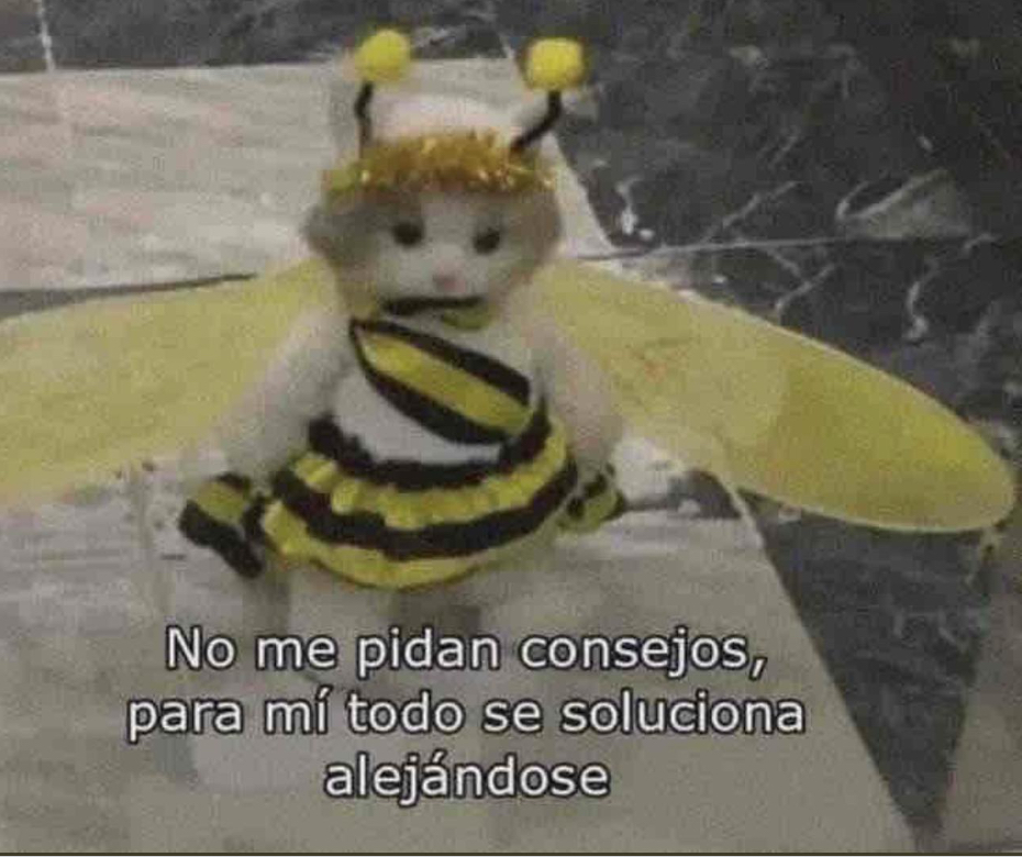 El Guarromántico tweet media