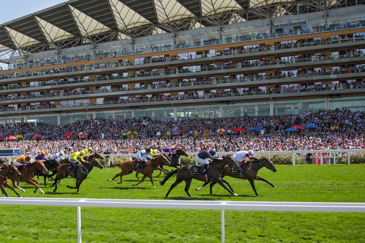 RacingGav (@racinggav) on Twitter photo ๐จ ROYAL ASCOT GIVEAWAY! ๐๐จ
To celebrate the return of <a href="/BetCoUK/">Betting.co.uk</a> to X, they are giving away 2โฃ #RoyalAscot tickets! ๐คฉ
To enter the draw: -
๐ธLike & Repost this post ๐๐
๐ธFollow both <a href="/BetCoUK/">Betting.co.uk</a> & <a href="/RacingGav/">RacingGav</a> โ
โ
๐ธReply below with who you would take! ๐
T&C's in thread ๐ ๐จ ROYAL ASCOT GIVEAWAY! ๐๐จ
To celebrate the return of <a href="/BetCoUK/">Betting.co.uk</a> to X, they are giving away 2โฃ #RoyalAscot tickets! ๐คฉ
To enter the draw: -
๐ธLike & Repost this post ๐๐
๐ธFollow both <a href="/BetCoUK/">Betting.co.uk</a> & <a href="/RacingGav/">RacingGav</a> โ
โ
๐ธReply below with who you would take! ๐
T&C's in thread ๐