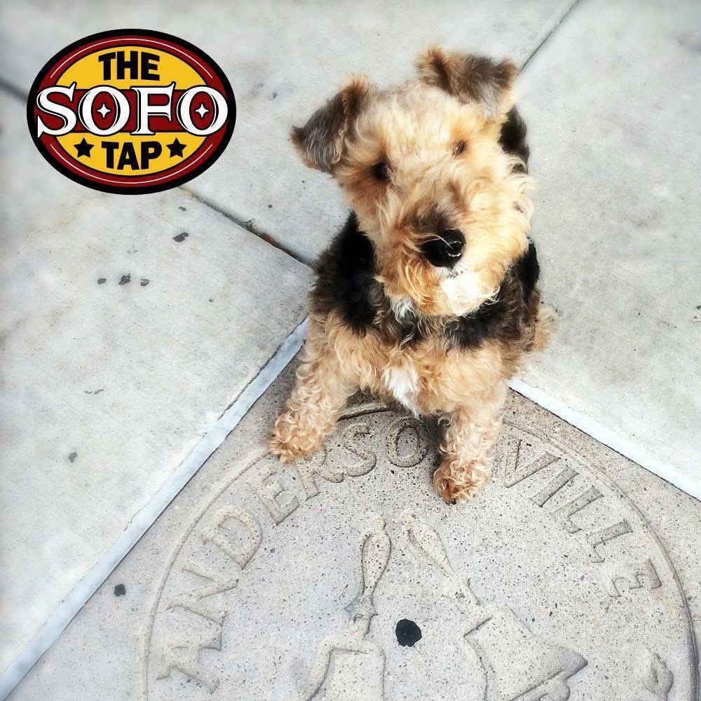 Got plans for the weekend? We've got you covered at Your Neighborhood Bear Bar South of Foster! 🐻🐻

🐻 GRRR: Fri @ 9pm
🐾 Doggy Days: Sat @ 12pm
👨🏻 DILF DADBOD w/Coach Vanson &amp; Moose the DJ: Sat @ 9pm
🍻 Bear Beer Blast: Sun @ 12pm
⭐️ Tony Awards Bearaoke After Party w/Rhett