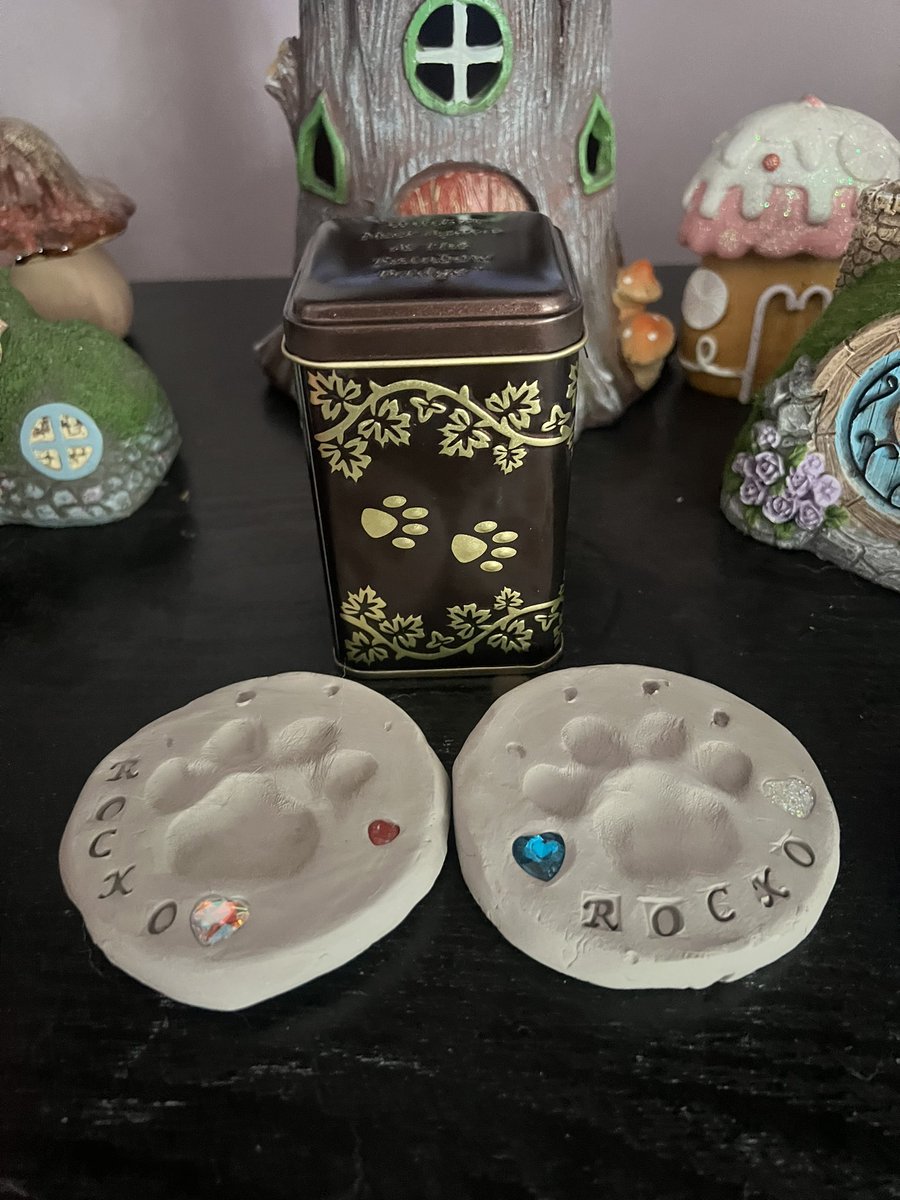 rocko is back home 😔💔