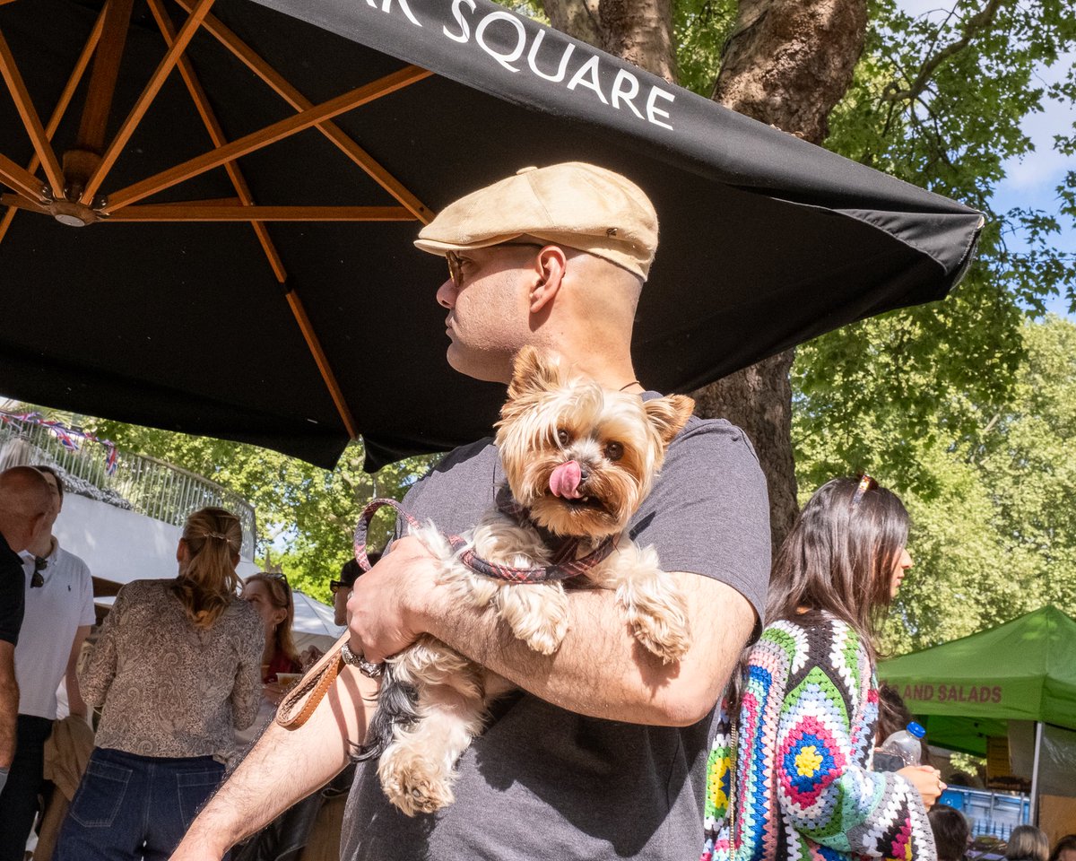 GonzoStreetPhotography tweet media