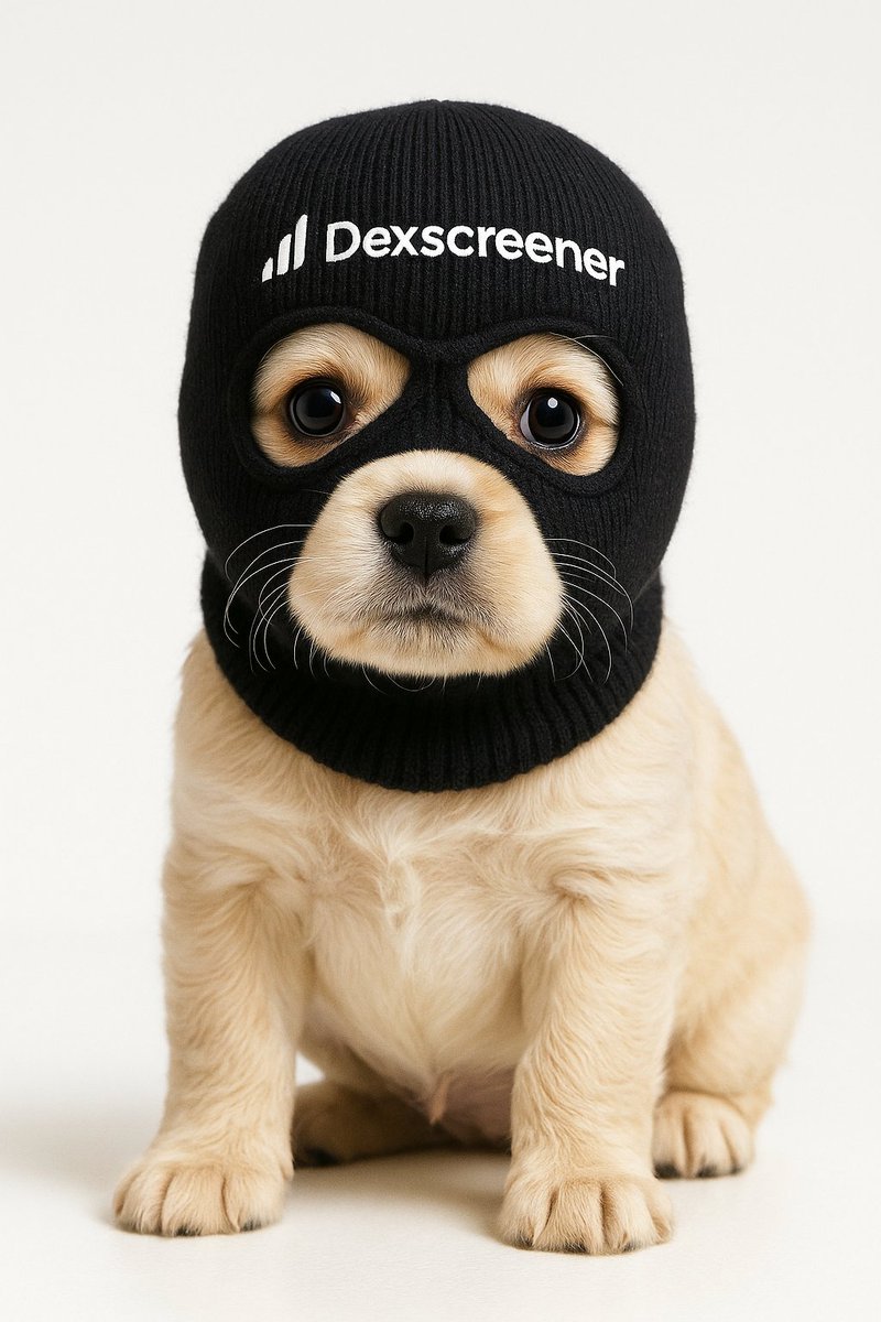 dogwifmasktoken's tweet photo. Just submitted our update to @dexscreener.  
Even masked puppies need their stats looking fresh before causing more chart chaos.

$Mask stays on

CTO DEX Order: 1749211203413 https://t.co/uF7IEi36zt