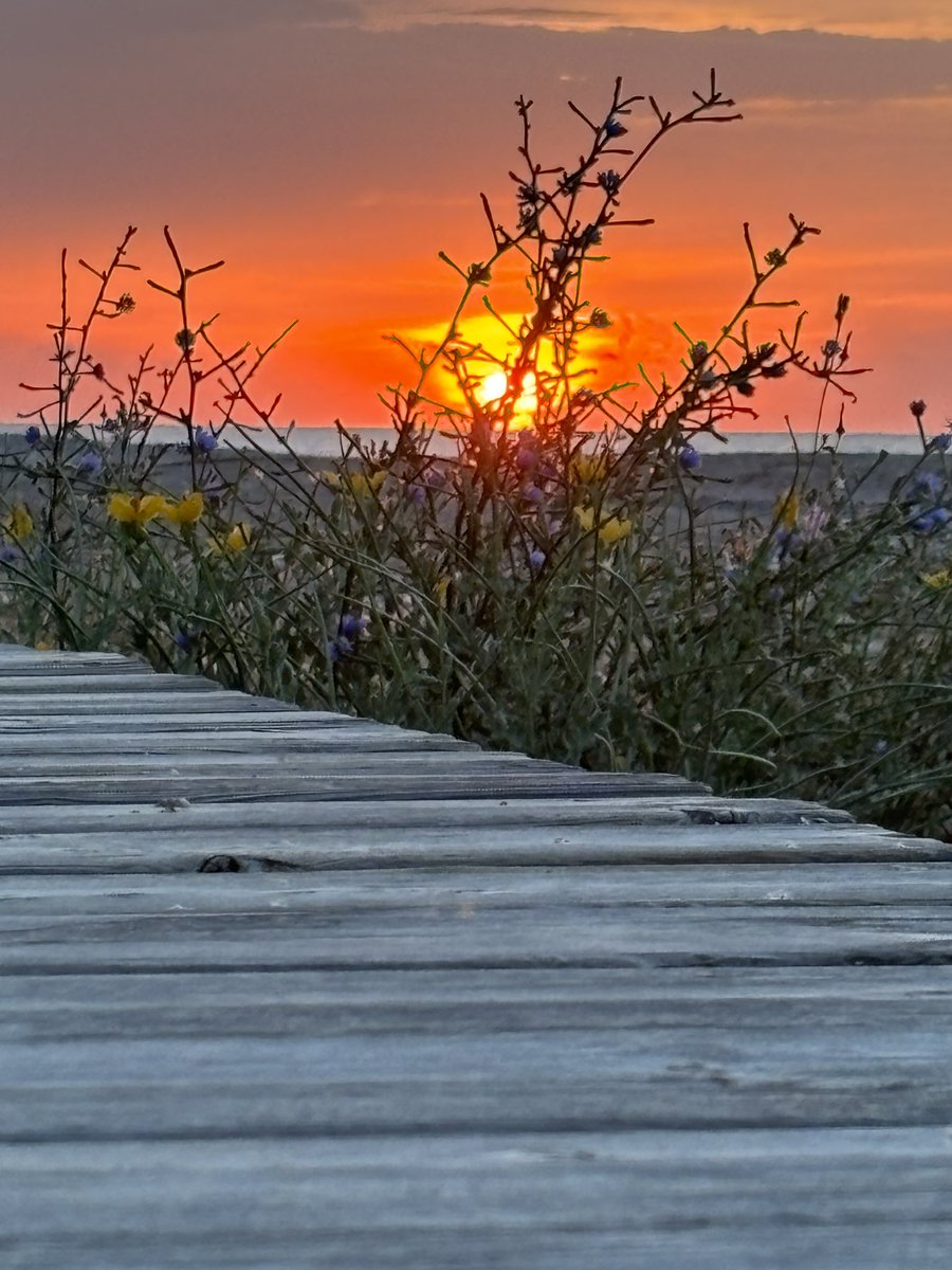 #Amaneceres 🌅 

#CostaMediterranea #Levante
#ComunidadValenciana #Burriana