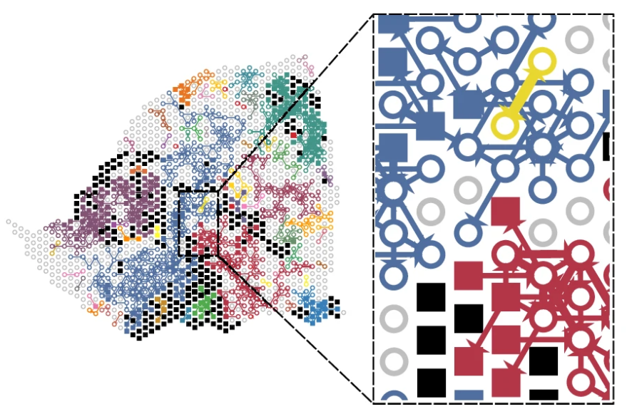 Schwartastic's tweet photo. We are proud to announce the publication of CellNEST, deep-learning detection single cell-cell or even "relay" communication on #SpatialTrascriptomics data at single-spot or #SingleCell!

Paper: https://t.co/JG7HN9uCQU

Code: https://t.co/AoUfMxQ3FY and https://t.co/cKGy1PjLa6 https://t.co/Ad3C5gU5b5